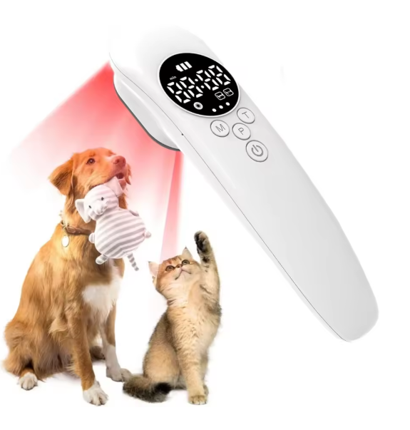 Laser de Luminothérapie pour Chiens – Soin Naturel, Cicatrisation & Détente Musculaire
