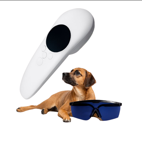Laser de Luminothérapie pour Chiens – Soin Naturel, Cicatrisation & Détente Musculaire