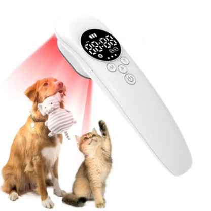 Laser de luminothérapie pour chiens – Confort et détente musculaire