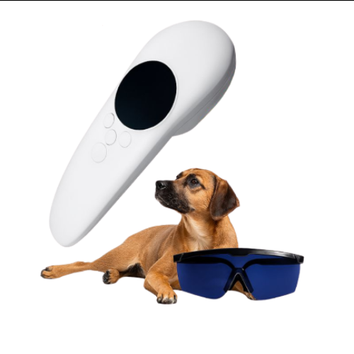 Laser de luminothérapie pour chiens – Confort et détente musculaire